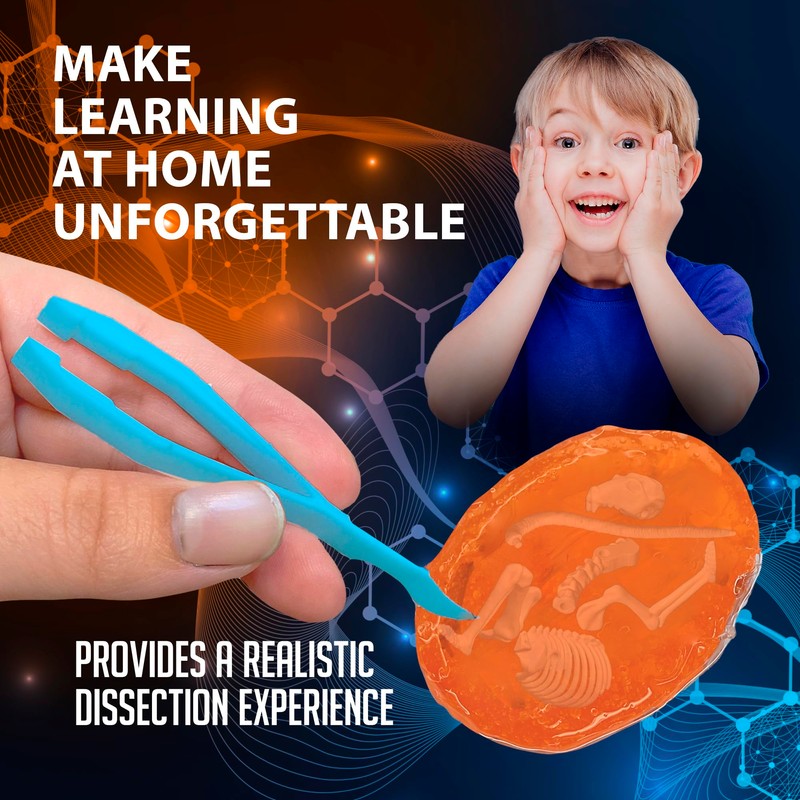 Discover-It Dissection Kit for Kids, Owl Pellet Science Lab Kit
