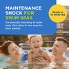 FROG Maintain for Swim Spas - Non-Chlorine Shock for use