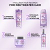 L'Oreal Paris Hair Expertise Hyaluron Plump Conditioner, with Hyaluronic Acid,