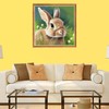Bimkole DIY 5D Diamond Painting Kits Accessories Cute Rabbit, Animal