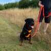 Police Style Dog Training Lead Double Ended 5ft (1.5 Metres