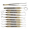 Dental Hygienists Instruments Tool kit 10 PC's with Sterilization Cassette