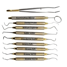 Dental Hygienists Instruments Tool kit 10 PC's with Sterilization Cassette by Wise Linkers