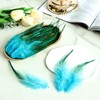 THARAHT 200pcs Aqua Blue Rooster Saddle Feathers Loose Bulk 5-7