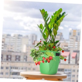 CAXUSD 1pc Felt Planting Bag Hanging Strawberry Grow Bag for Healthy Roots Breathable Nursery Container for Garden Balcony and Roof Use