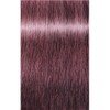 SCHWARZKOPF Igora Royal Take Over Hair Dye 8-849 Light Blonde