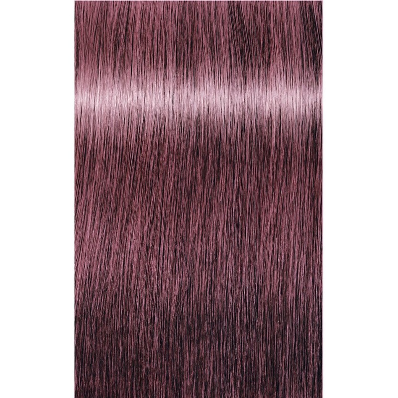 SCHWARZKOPF Igora Royal Take Over Hair Dye 8-849 Light Blonde