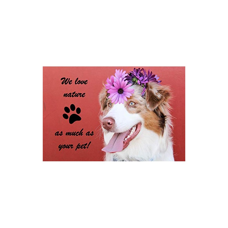 Cadoc - Nature Exclusive Algae Flour