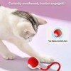 Found Notice Interactive Cat Toy Ball | Automatic Moving, Mouse