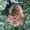 Vivid Arts Pet Pal Tiger Cub