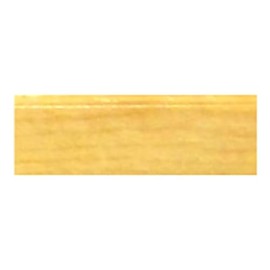 Asahipen Water-Based Gloss Varnish, 3.4 fl oz (100 ml), Transparent Clear