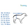 Teamoy Dog Manners Belt, Set of 4, Boy, Mesh Lining,