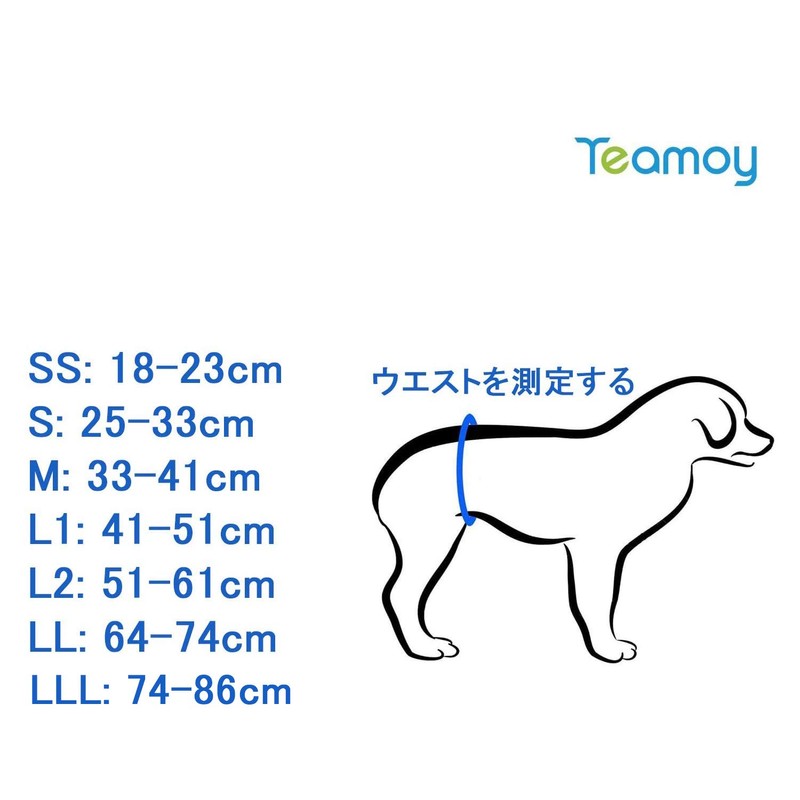 Teamoy Dog Manners Belt, Set of 4, Boy, Mesh Lining,