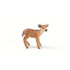 Schleich - (Deer) White Tailed Fawn