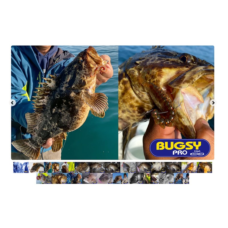 Bait Breath Bugsy 3.5" #S474 Sardine White Purple Blue