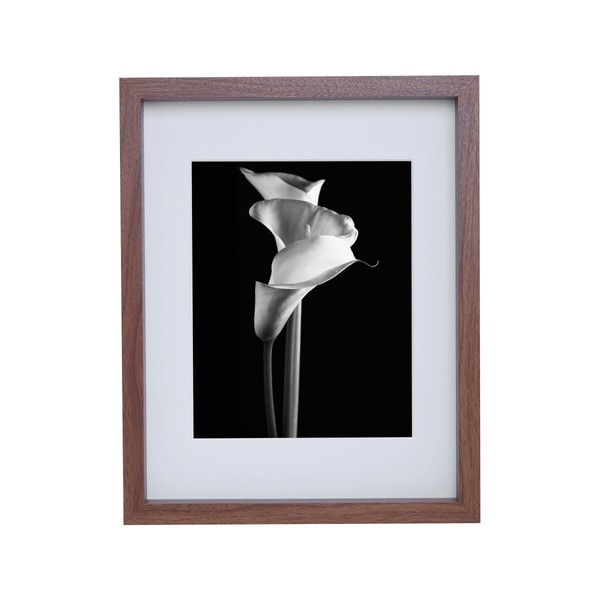 Mikasa Wood Gallery Wall Frame, 11x14 Matted to 8x10, 12x1.57x15