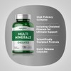 Piping Rock Piping Rock Mega Multi Mineral Chelated Supplement |