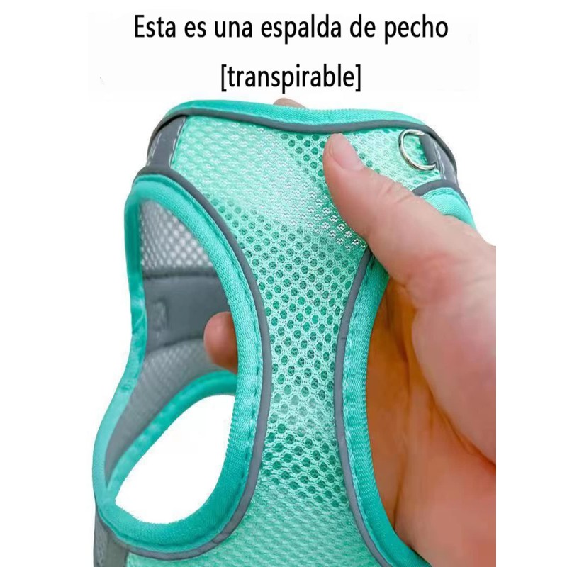 UNA MASCOTA Pechera Arnés Transpirable Cómodo con Correa para Perro