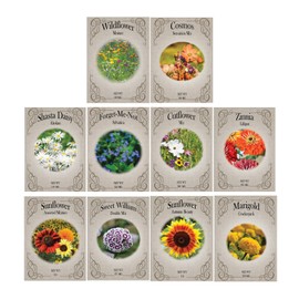 Top 10 Most Popular Flowers - 10 Varieties of Non-GMO Heirloom Premium Flower Seeds for Planting - Wildflower, Marigold, Cosmos, Sunflowers, Forget Me Not, and More