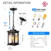 VIANIS Outdoor Pendant Light Fixture, Farmhouse Exterior Hanging Lights with