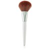 The Face Shop Daily Beauty Tools Multi Powder Brush,