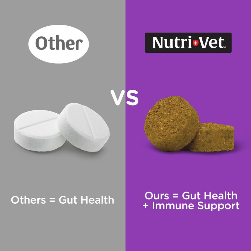 Nutri-Vet Pre & Probiotics for Dogs, Digestive Support, Upset Stomach,