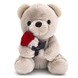 9.8'' Teddy Bear with Rose, Soft Plush Bear Doll Stuffed Animals Toys Valentines Day Decor Gifts for Her/Girlfriend Lover Mom Kids (Gray)