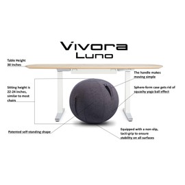 Vivora Luno Exercise Ball Chair, Charcoal Cover, Chenille, Standard Size (22 to 24 inches), for Home Offices, Balance Training, Yoga Ball