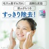 Suisai Beauty Clear Powder Wash N PO, 0.5 oz (12.8
