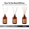 Craft & Kin Sage, Mint & Lavender Reed Diffuser |
