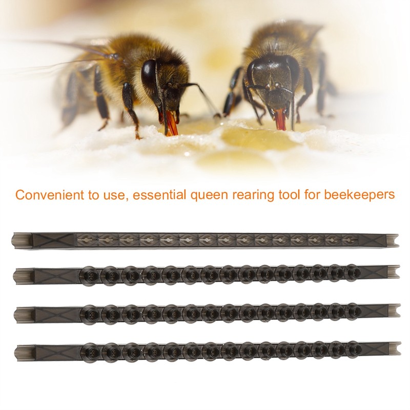 4Pcs Bee Cell Bars Strips with 50Pcs Cell Cups Beekeeping