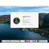 32GB MacOS Big Sur 11.7.10, Bootable USB Drive 3.0,Full Install