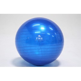 FIMISU 65cm Fitness Stability Ball • Yoga Balance Ball • Exercise Training Ball (Purple)