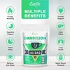 Organic Dandelion Root Herbal Tea, Premium Dandelion Root Leaf with