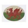 'Welsh Dragon' Temporary Tattoo - Water Resistant, Skin-Safe, Non-Toxic Transfer