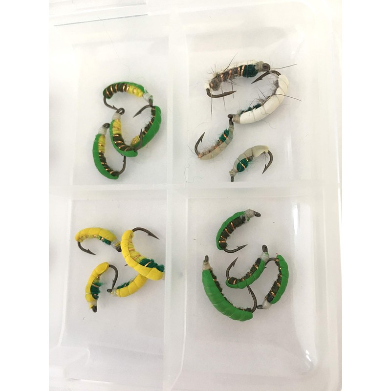 BestCity Fast sinking Czech nymphs Box of 24 Fishing Flies