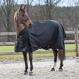 HORZE Nevada 1200D Lightweight Waterproof Horse Turnout Rain Sheet (No Fill) - Black - 60 in