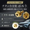 RENPA Titanium Alloy License Plate Bolt Wild Design Vehicle Inspection