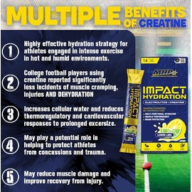 MHP Impact Hydration Electrolyte Creatine Sports Drink Stick Pack, No Artificial Sweeteners or Colors, Performance, Recovery, Concussion Protection, Lemon Lime, 14 Count