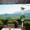 2 Pcs Macrame Double Plant Hanger Cotton Rope Flower Pot