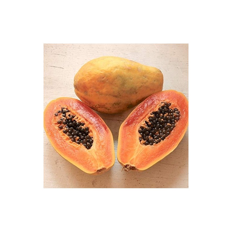 Lucas' Papaw Ointment Lucaspo Po Instrument 0.9 oz (25 g)