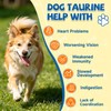 Taurine for Dog Taurine Powder, Heart Cardiac Vision Energy Hip