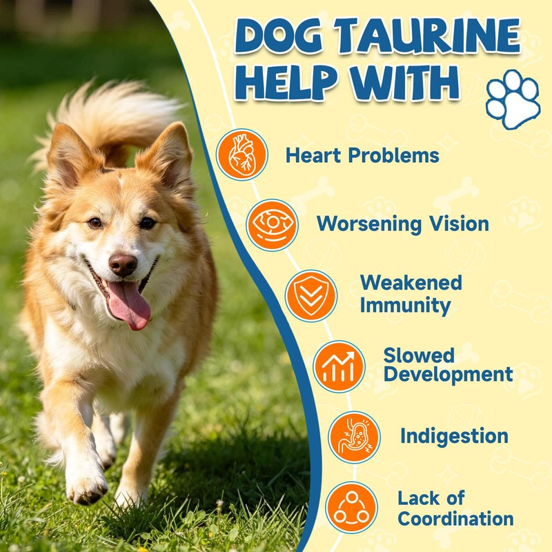 Taurine for Dog Taurine Powder, Heart Cardiac Vision Energy Hip