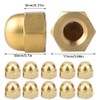 Pack of 10 M8 Hex Cap Nuts, Brass, Brass Cap