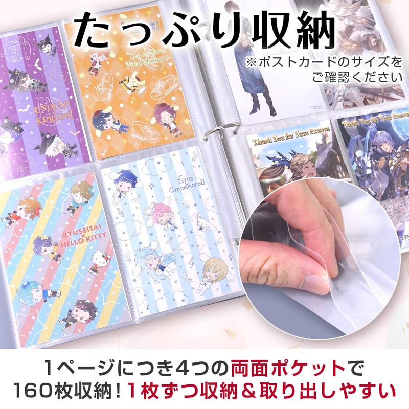 Goods marche Postcard Storage File, Postcard Size, Holds 160 Sheets