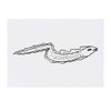 'Eel' Temporary Tattoo - Water Resistant, Skin-Safe, Non-Toxic Transfer (TO00027770)