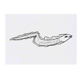 'Eel' Temporary Tattoo - Water Resistant, Skin-Safe, Non-Toxic Transfer (TO00027770)