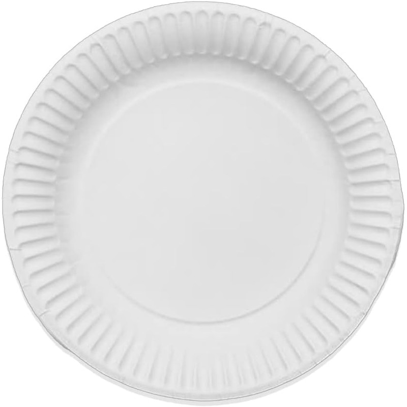 HITHIKA 7'' Paper Plates (100 Pack) | Biodegradable & Compostable
