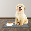 Pet Feeding Mat Silicone Waterproof Safe Raised Edge Slip Resistant