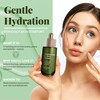 Hyaluronic & Aloe Facial Serum